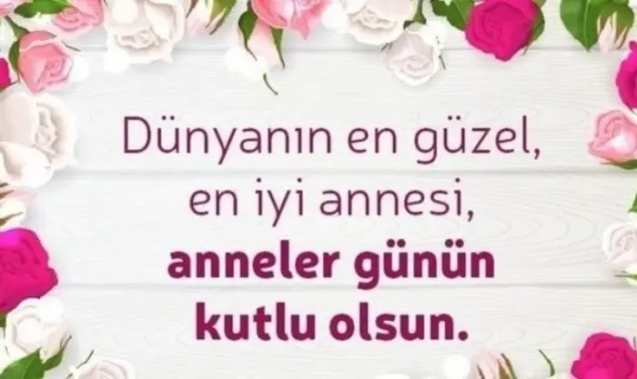 annelergnresmiizim18-1005202412299b74.webp