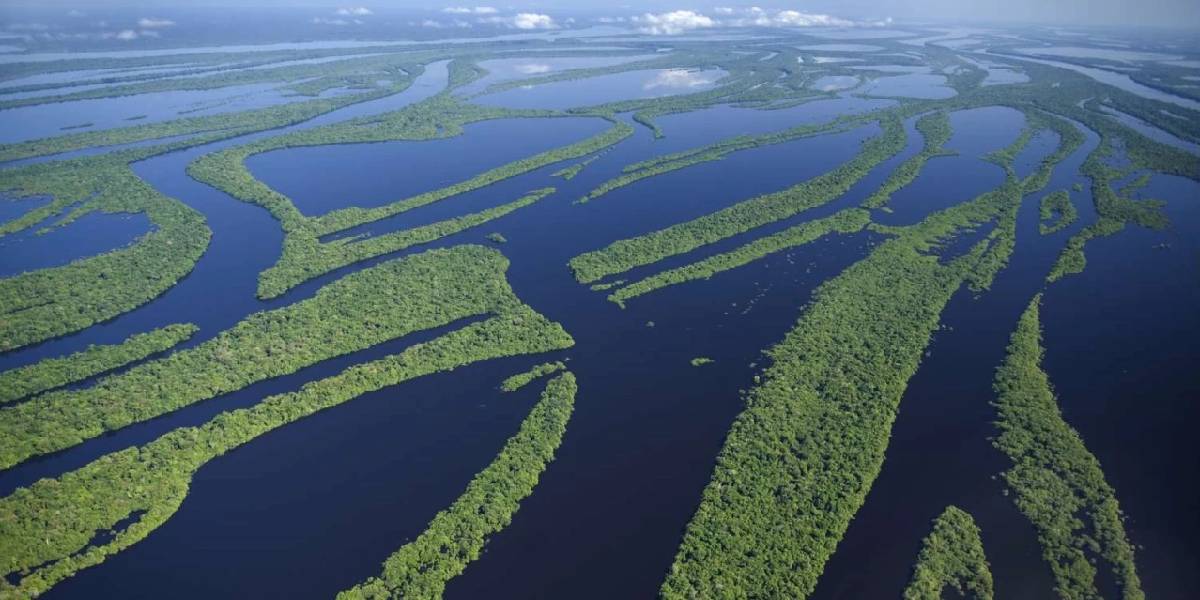amazon-nehri-1.jpg