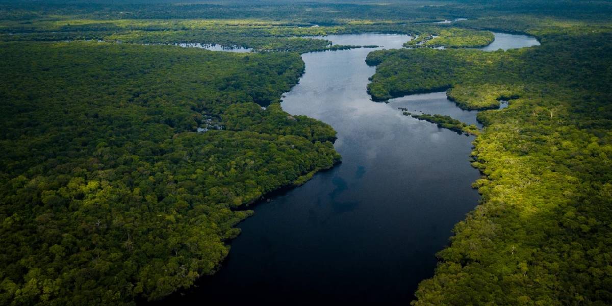 amazon-nehri-2.jpg