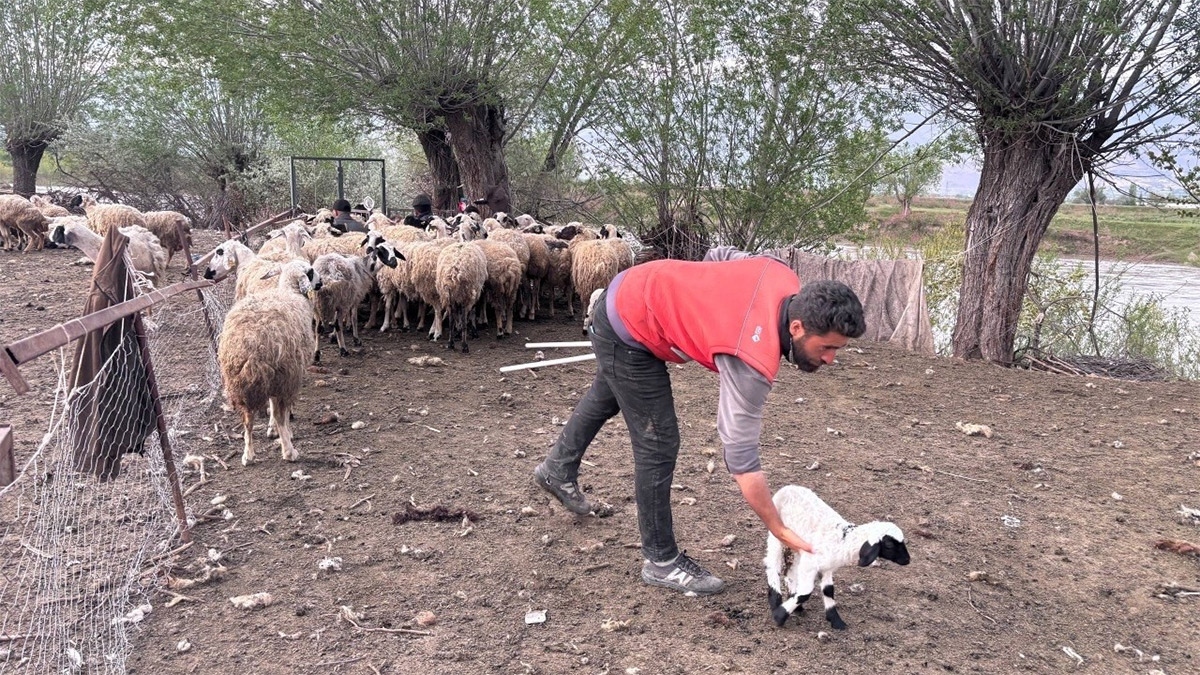 basliksiz-2.jpg