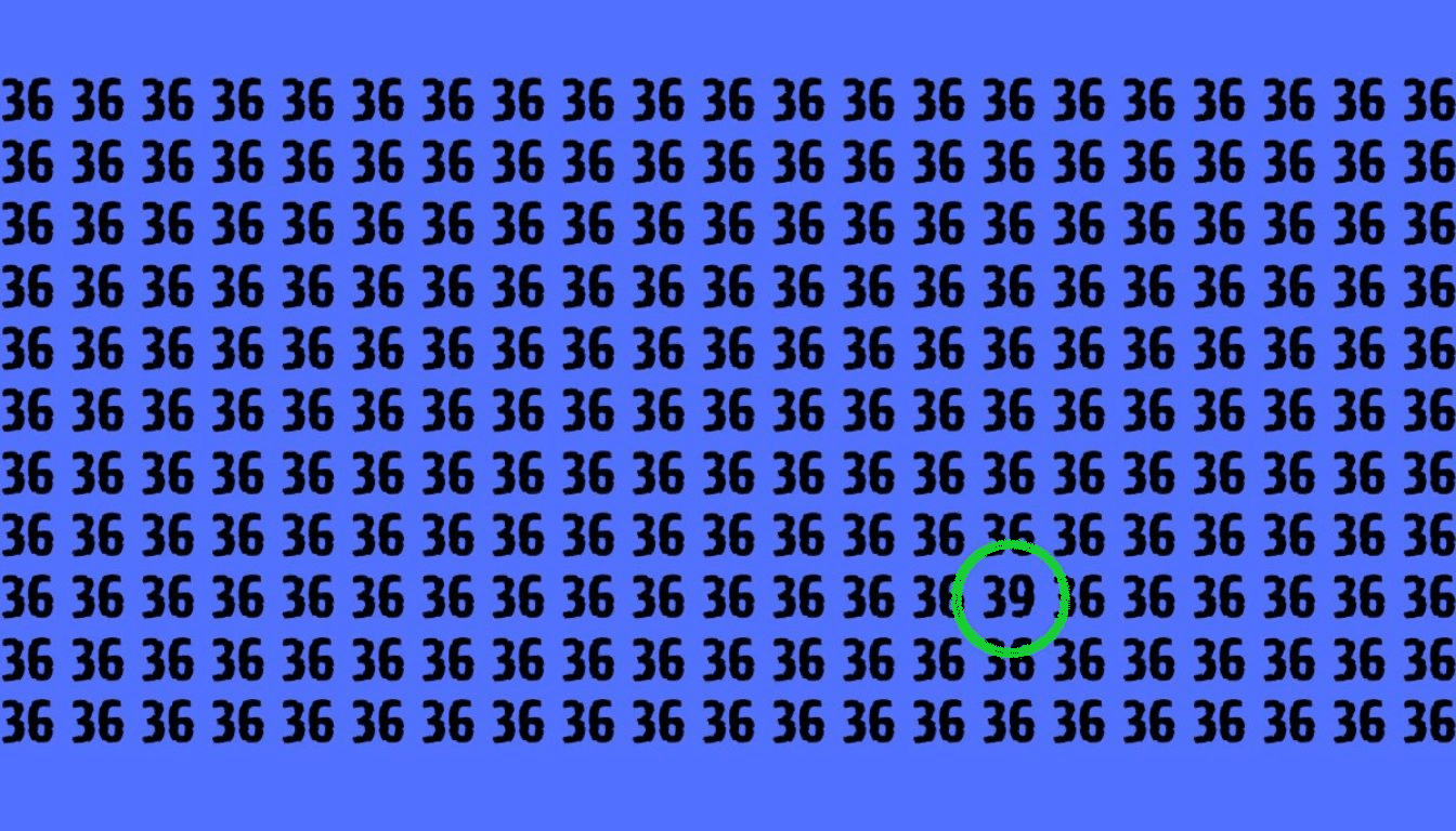 1730533355-955-accept-the-challenge-can-you-find-the-39-hidden-among.png