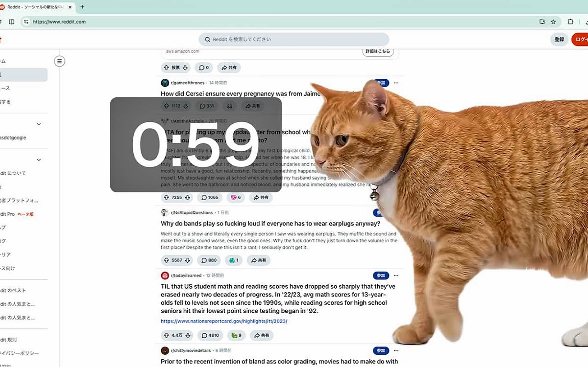 ekran-suresini-azaltan-cat-gatekeeper-nedir-nasil-kullanilir-2.jpg
