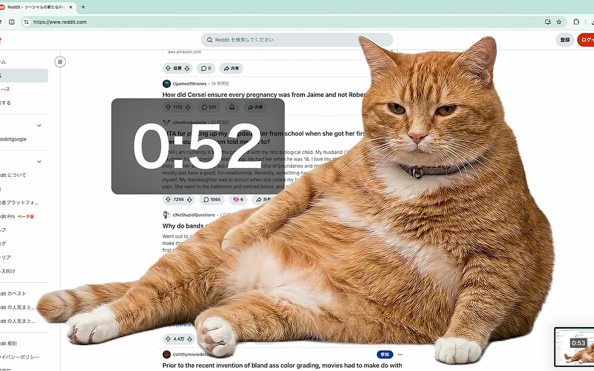ekran-suresini-azaltan-cat-gatekeeper-nedir-nasil-kullanilir-3.jpg
