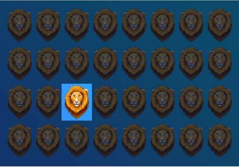 aslan-test-yanit-1.jpg
