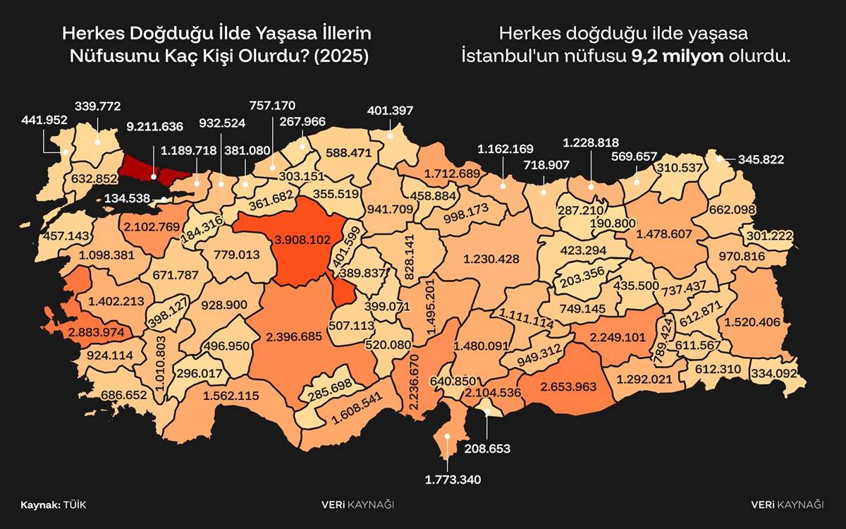 tuik-herkes-dogdugu-ilde-yasasa-illerin-nufusu-kac-kisi-olurdu.jpg