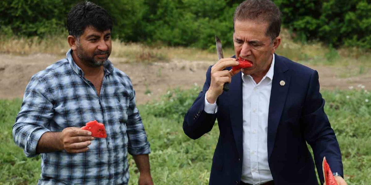 adana-karpuzu-hasadi-basladi-1.jpg