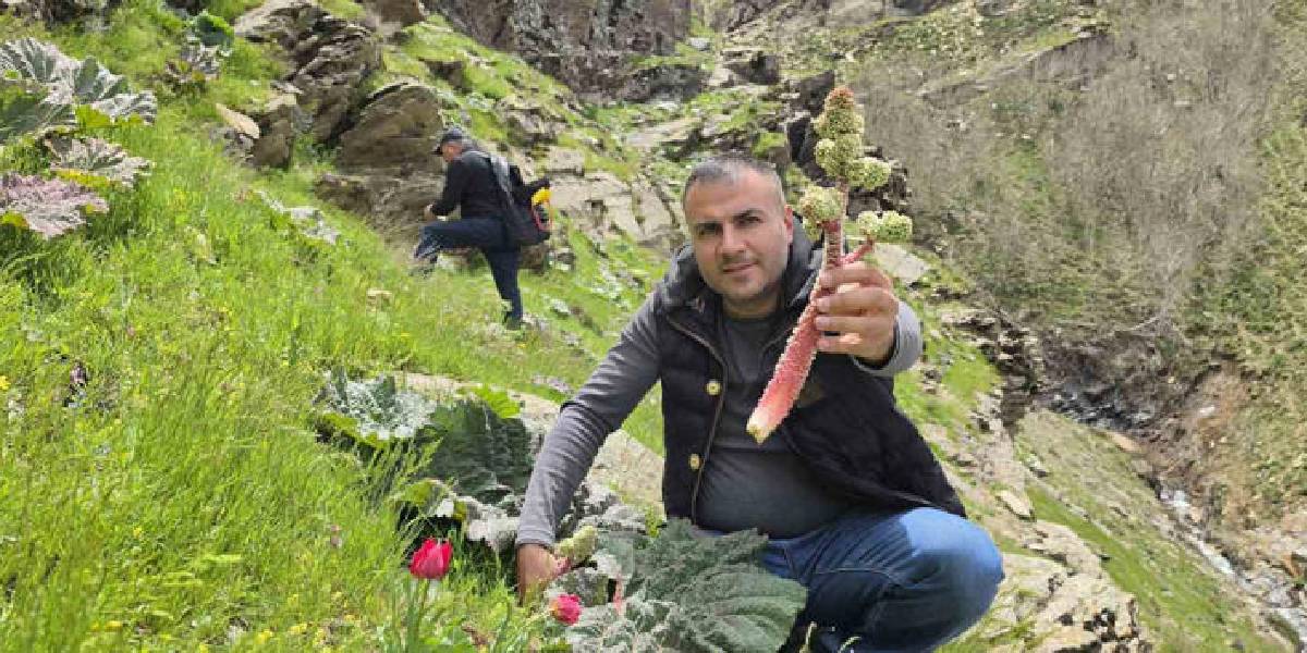 bitliste-yayla-muzu-2.jpg