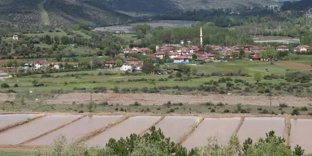 cankirida-sarikilcik-celtigi-3.jpg