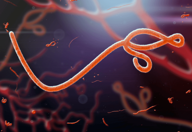 ebola-salgininin-nedeni-virus-mu-yoksa-ihmal-edilen-hijyen-mi-768x527.png