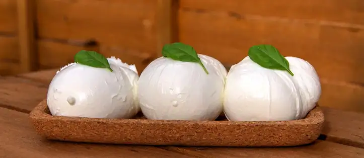 mozzarella-di-bufala-campana.webp