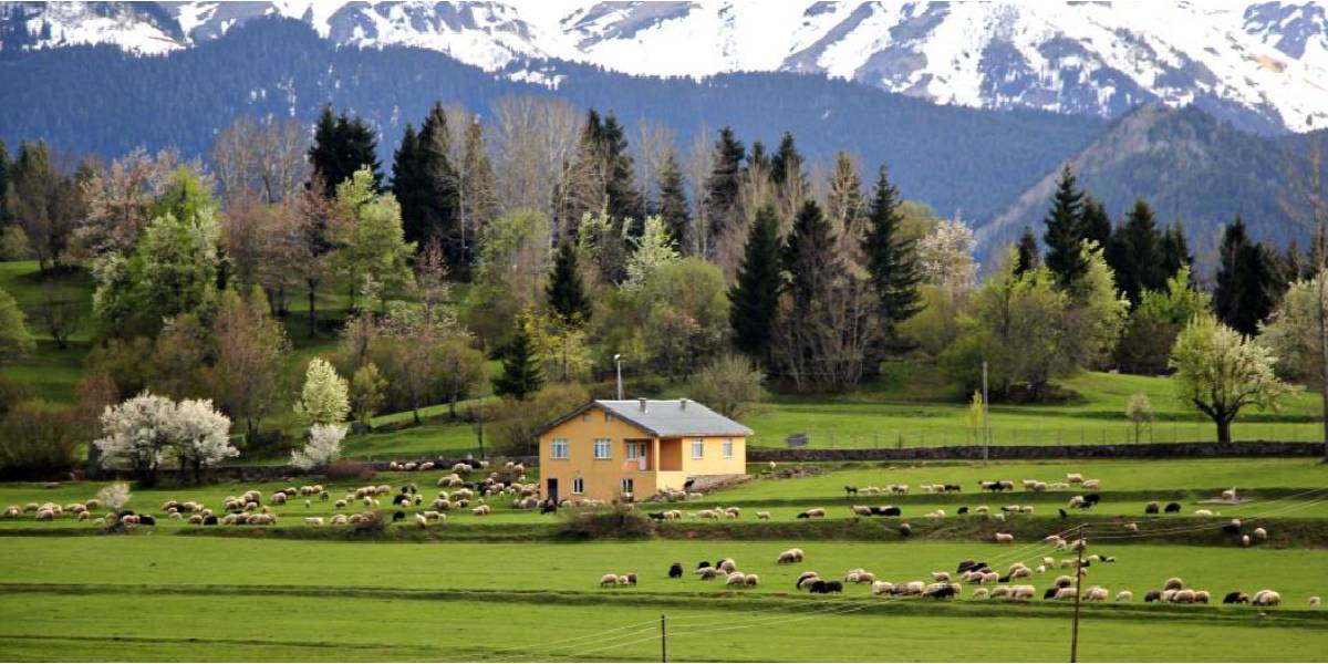 artvin-savsat-1.jpg