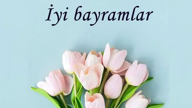62c69f3286b24a227490fbdc.webp