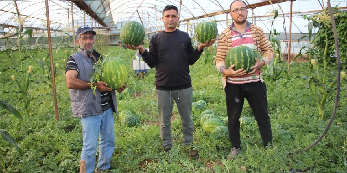 antalya-karacaoren-cekirdek-karpuzu-1.jpg
