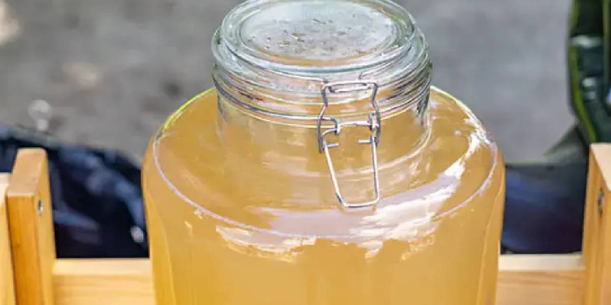 fermente-limonata-1.jpg