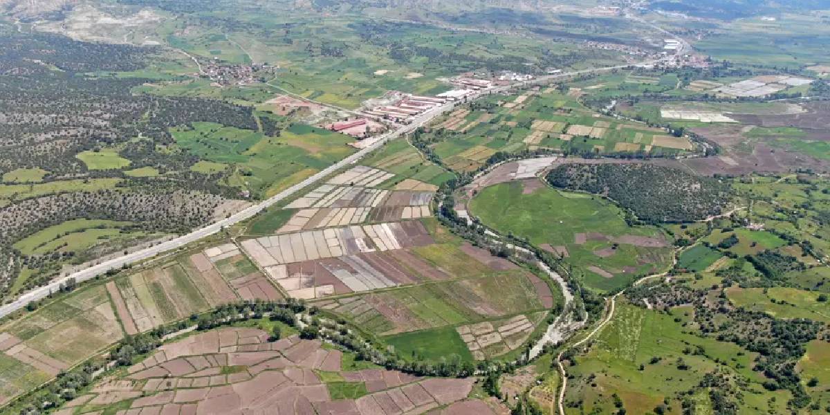 kastamonuda-sarikilcik-celtigi-ekimi-basladi-1.jpg