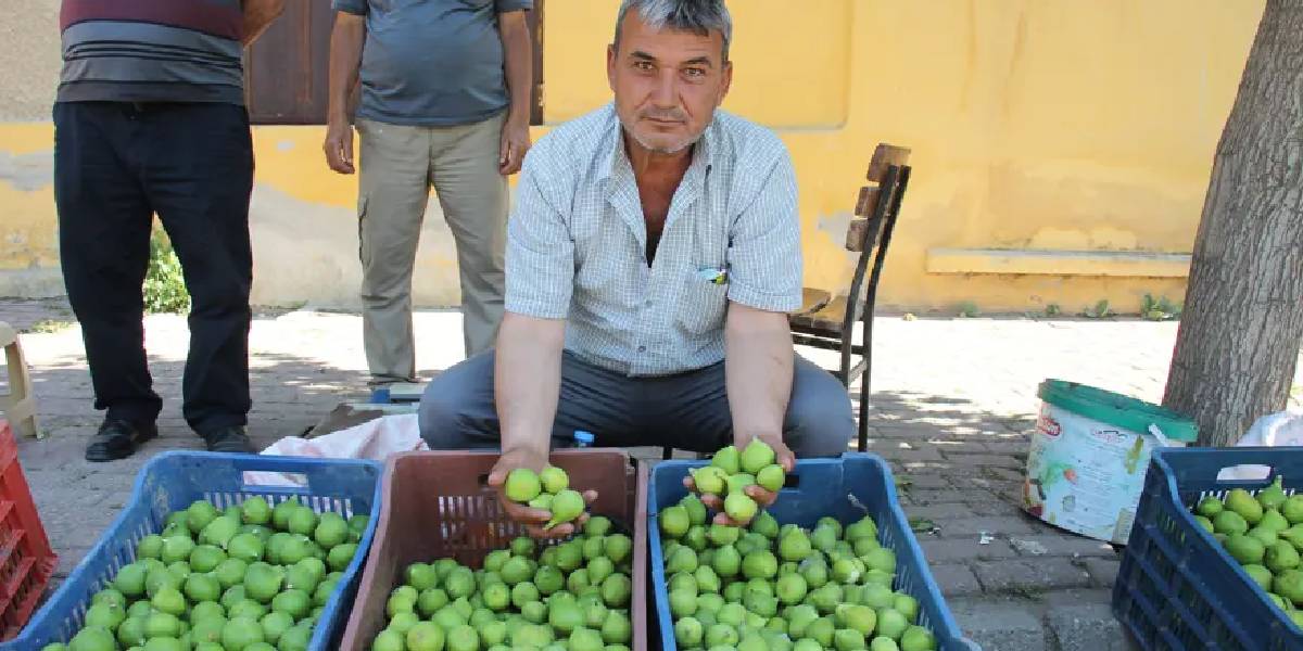 aydinda-ilek-satisi-2.jpg
