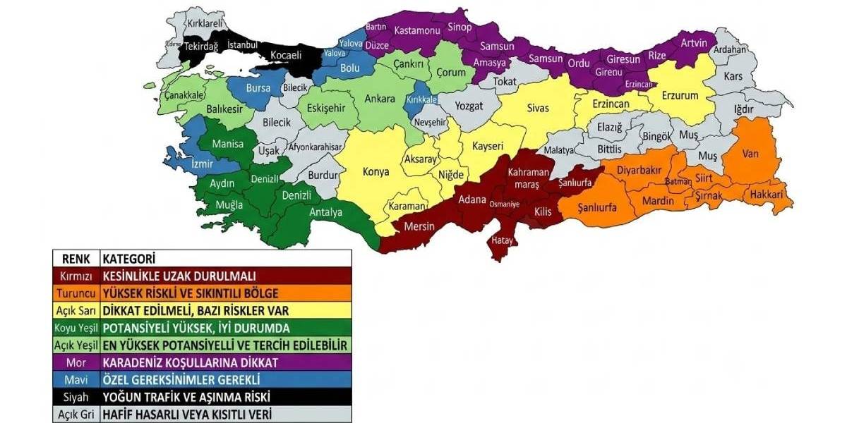 yapay-zekaya-gore-turkiyede-ikinci-el-arac-alinmamasi-gereken-iller-2.jpg