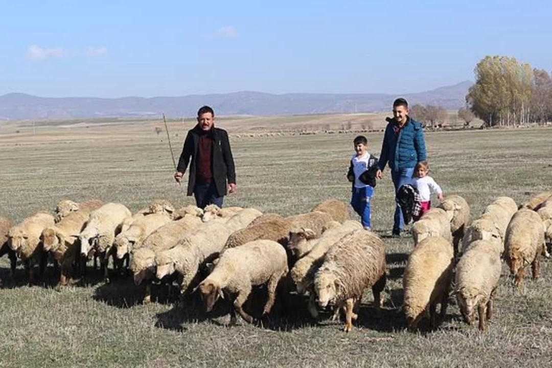 maasli-ciftcilik-donemi-basliyor-1776152923-381-large.webp