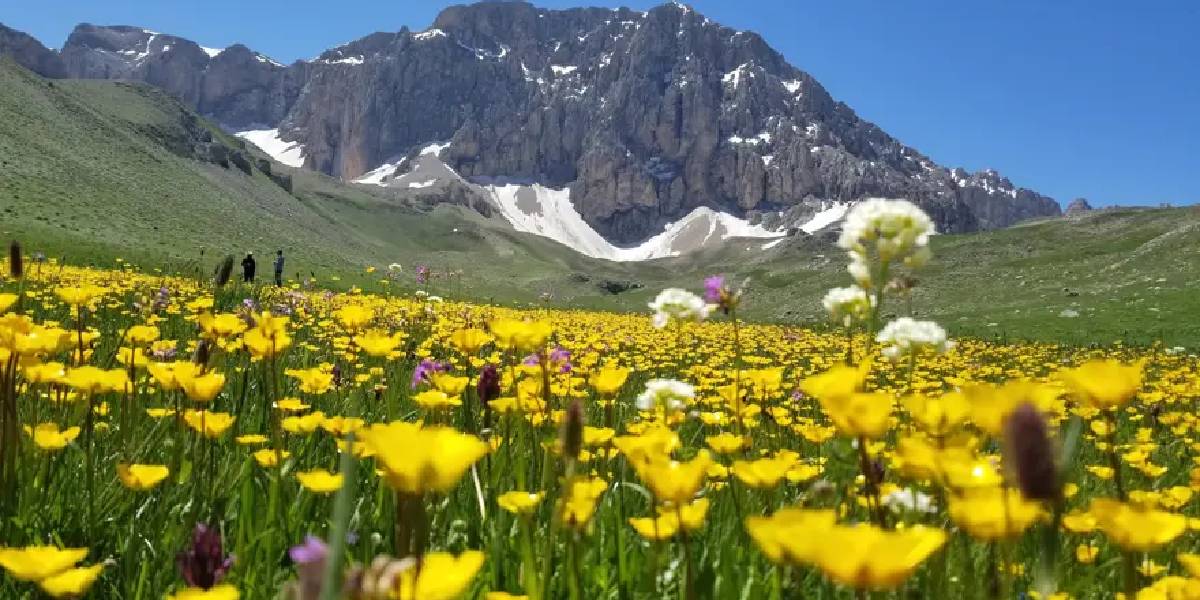 munzur-dagi-1.jpg