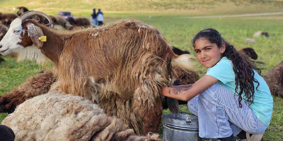 musta-yayla-mesaisi-basladi-1.jpg