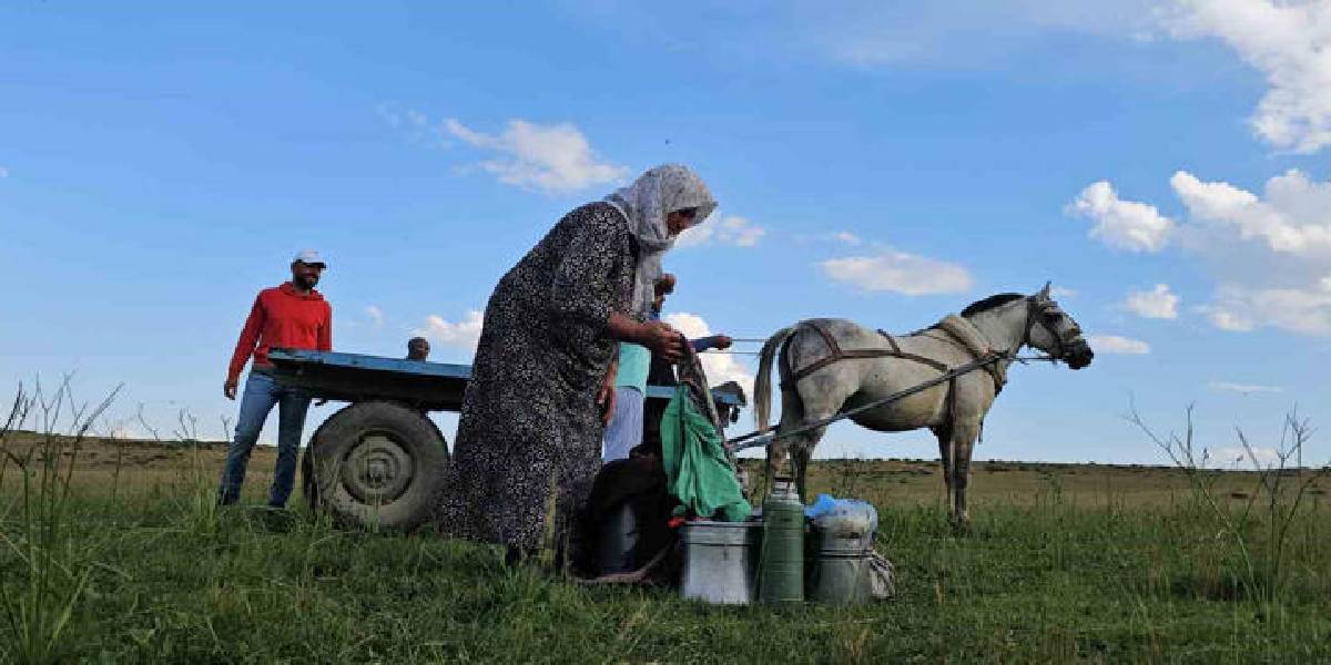 musta-yayla-mesaisi-basladi-2.jpg