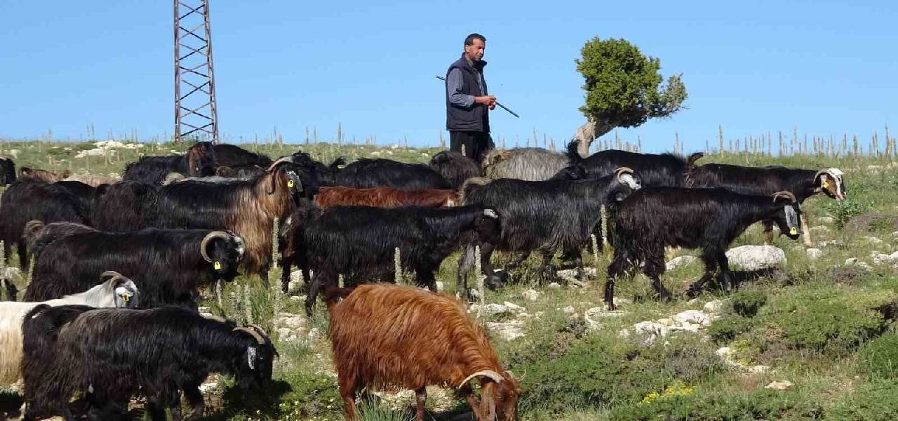 hasan-cucu-toroslar-iha.jpg