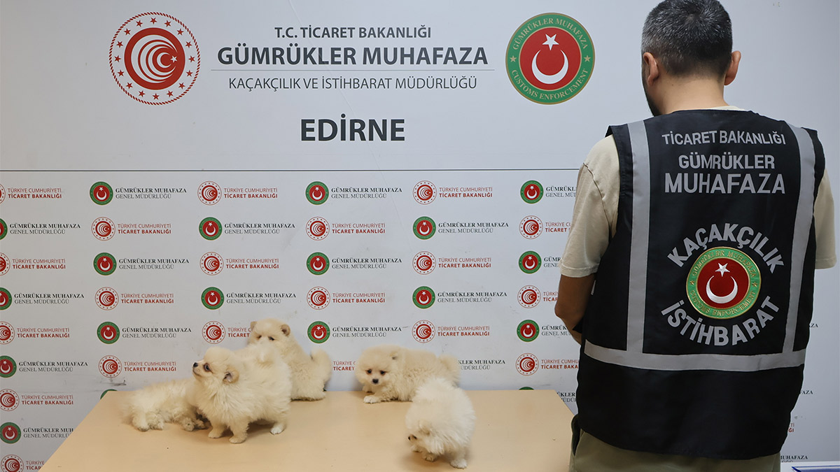 kapikule.jpg