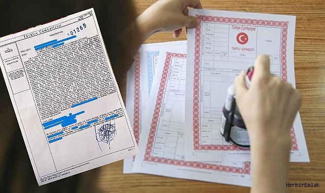 vekaletname-ile-satista-en-cok-yapilan-hatalara-dikkat-7771.jpg