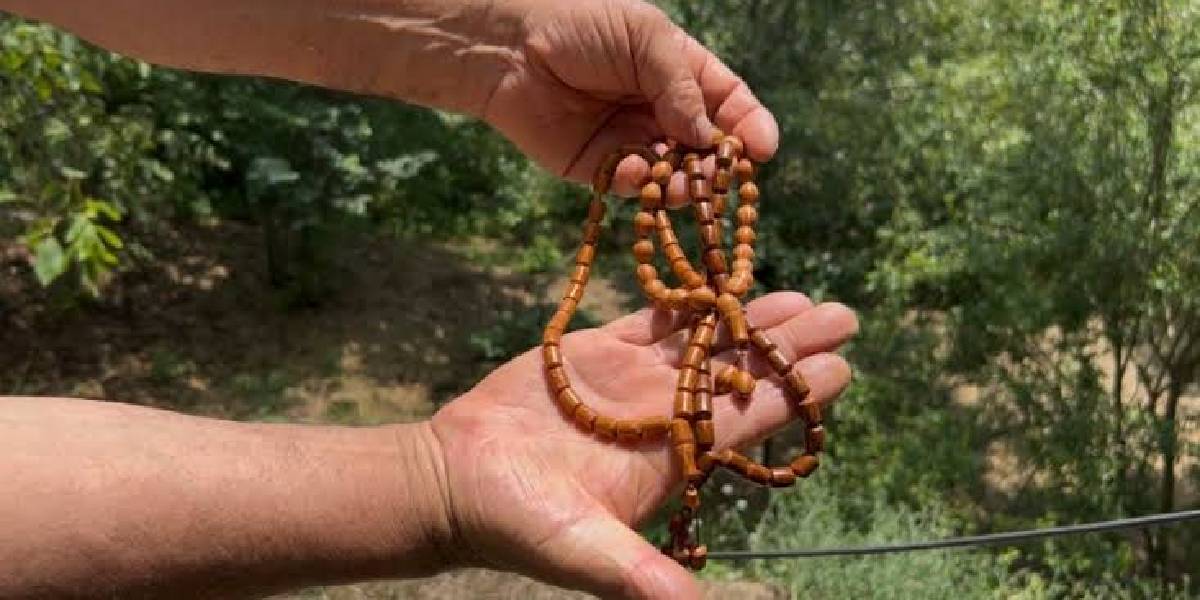 osmaniyede-andiz-kozalaklari-1.jpg