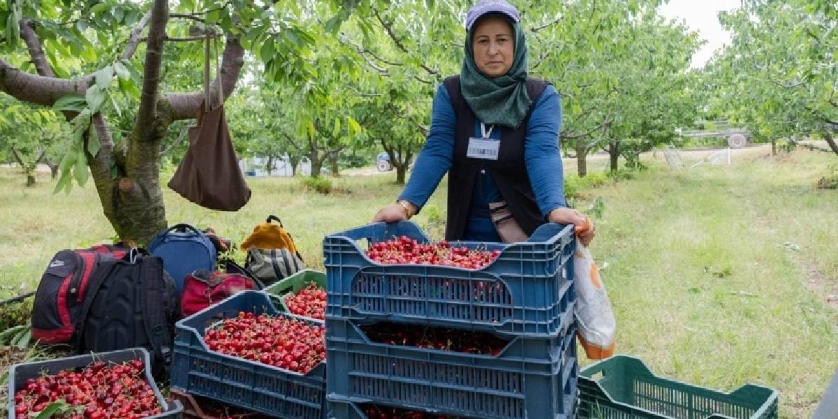 yozgat-kabali-koyu-4.jpg