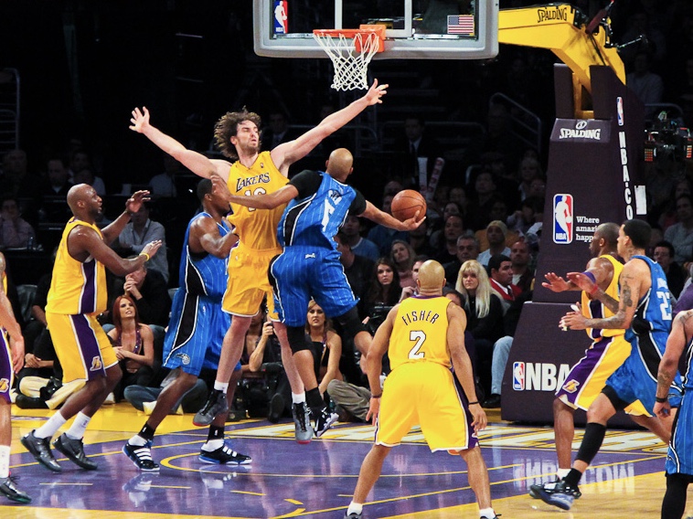 fiba4.jpg