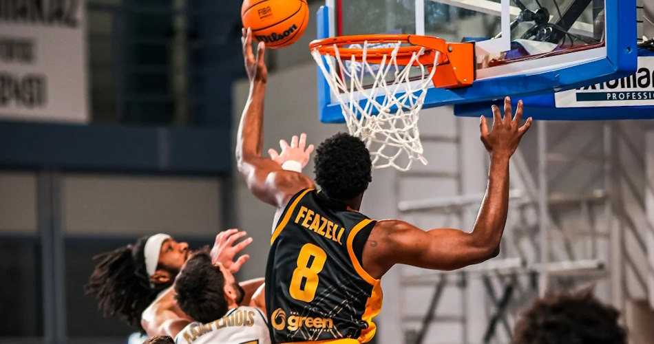fiba5.jpg