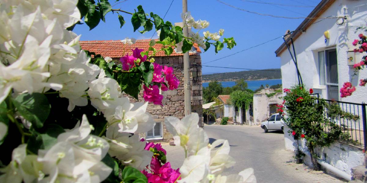 cesme-ildiri-koyu-3.jpg