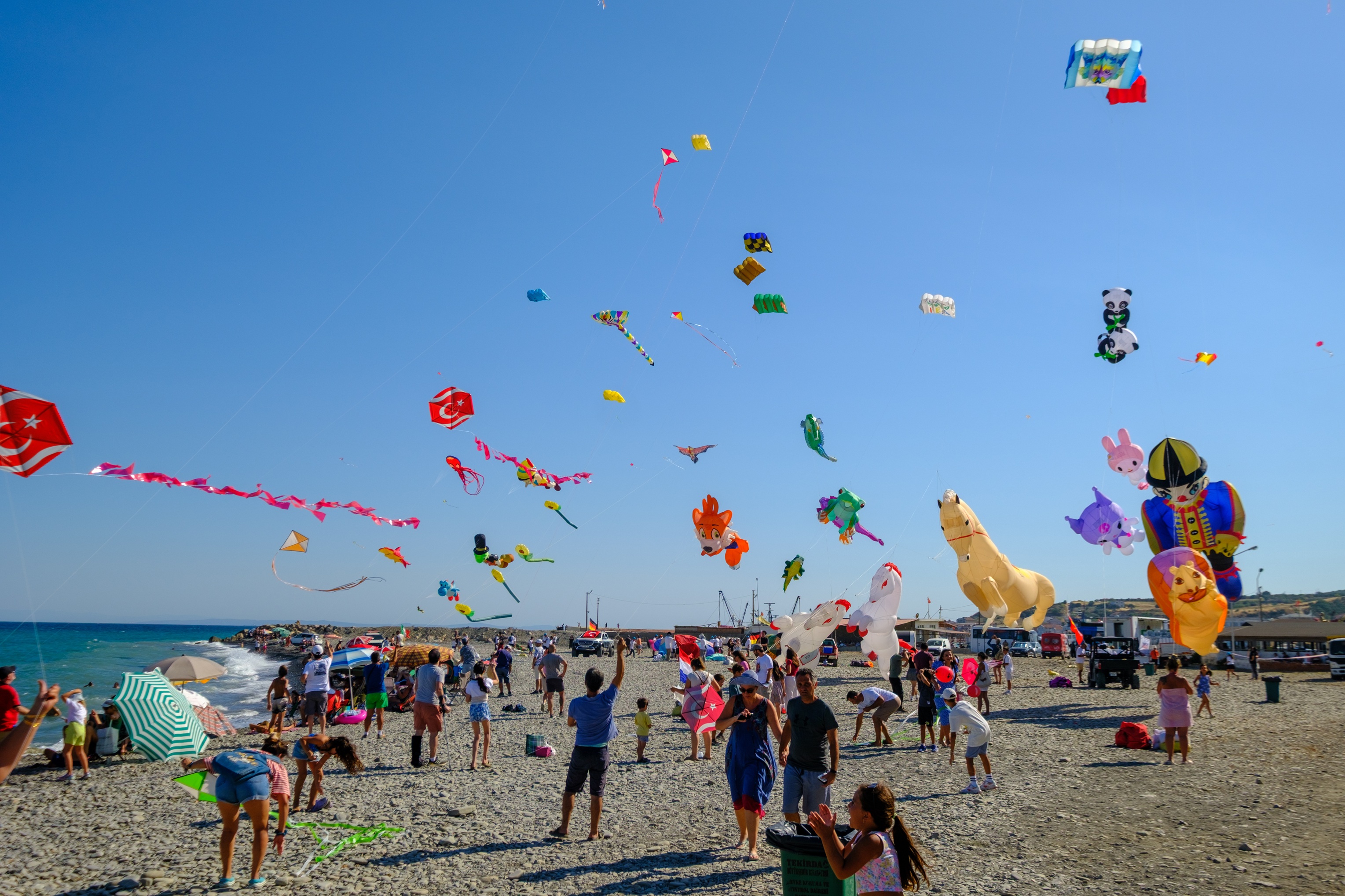 trakya-ucurtma-festivali3-jpg.jpeg