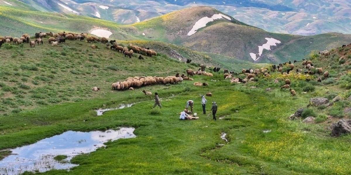 sirnak-farasin-yaylasi-1.jpg