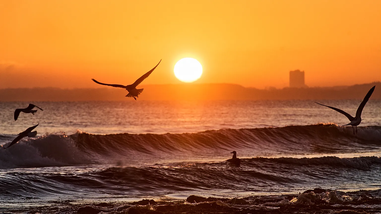 1536x864-cmsv2-24801542-ee1e-549f-aa43-629222640b92-9850031.webp
