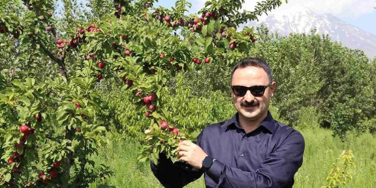 agrida-corak-araziye-kurulan-meyve-bahcesi-2.jpg