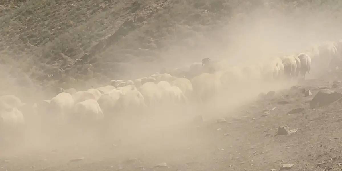hakkaride-besici-kadinlar-1.jpg