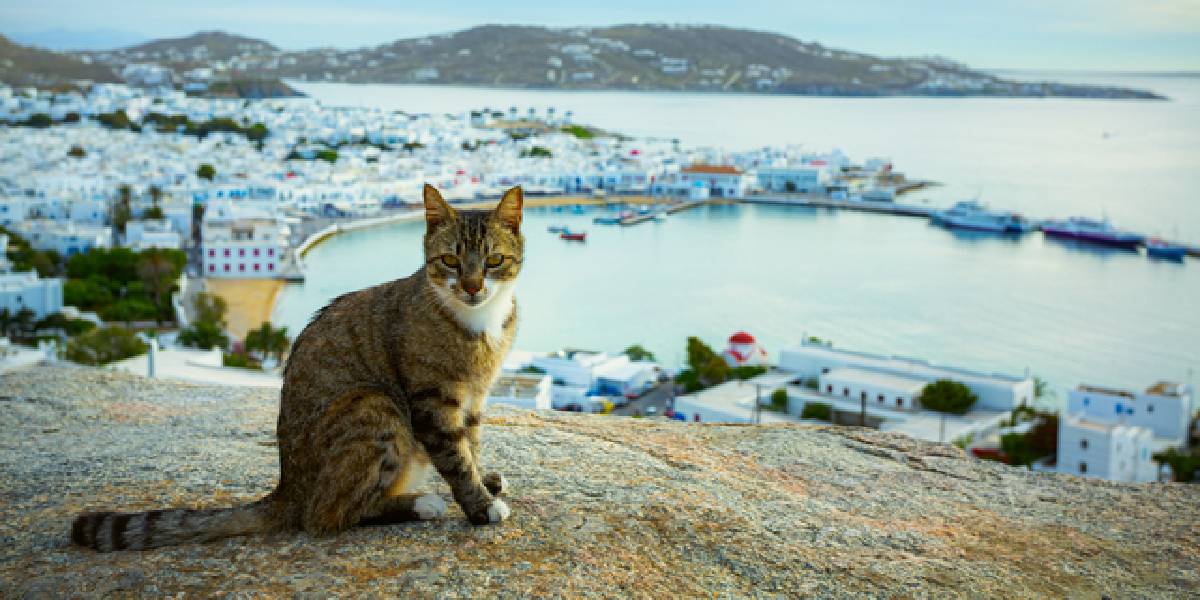 yunanistan-syros-adasi-1.jpg
