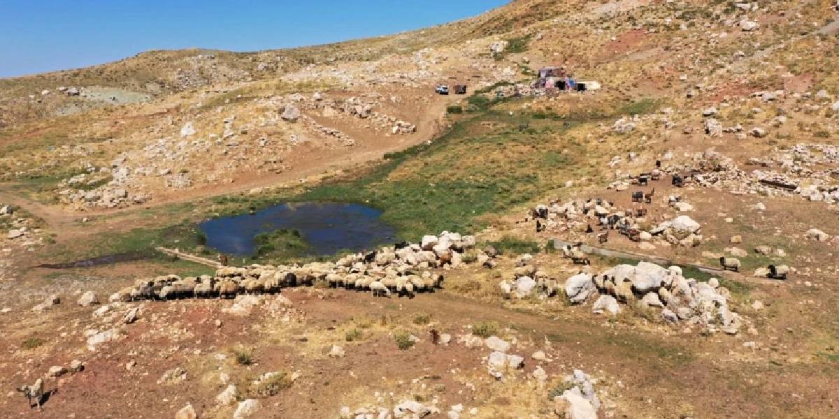 adiyamanda-gocerler-2.jpg