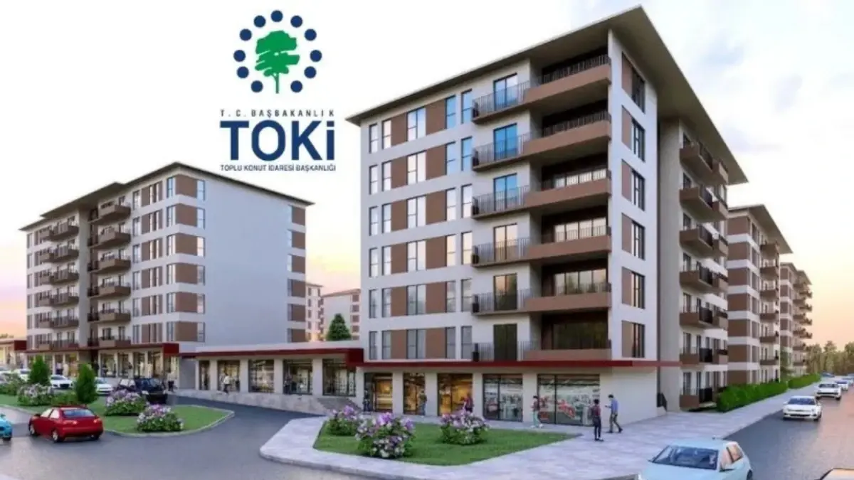 toki.webp