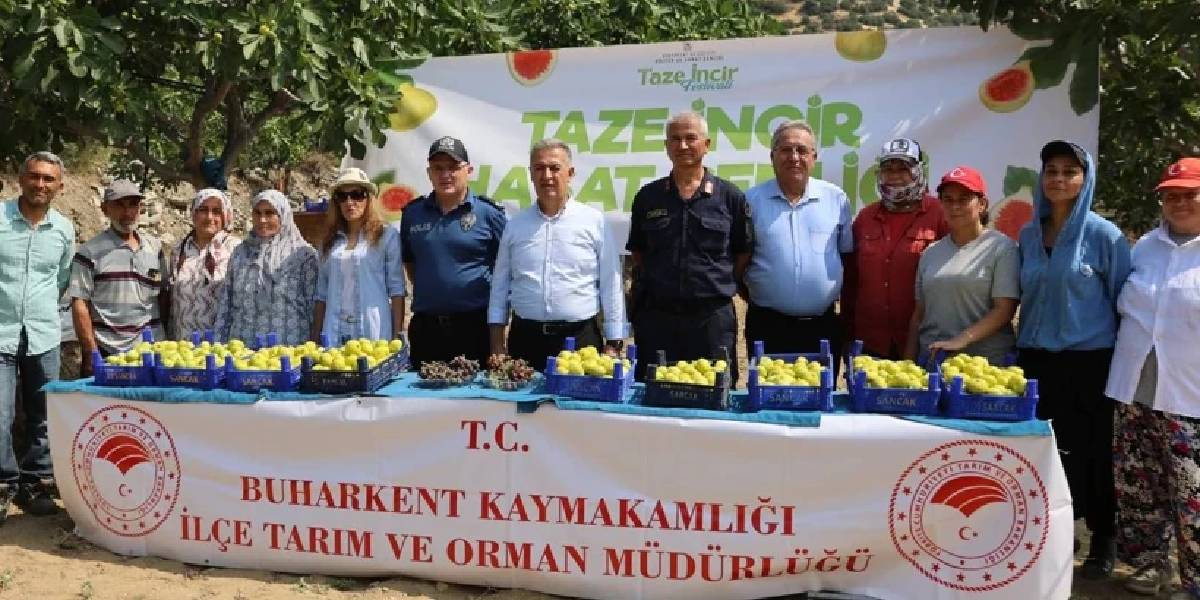aydinda-incir-hasadi-2.jpg