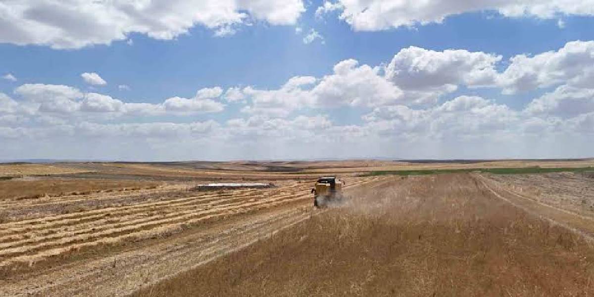 ankarada-corekotu-hasadi-basladi-1.jpg