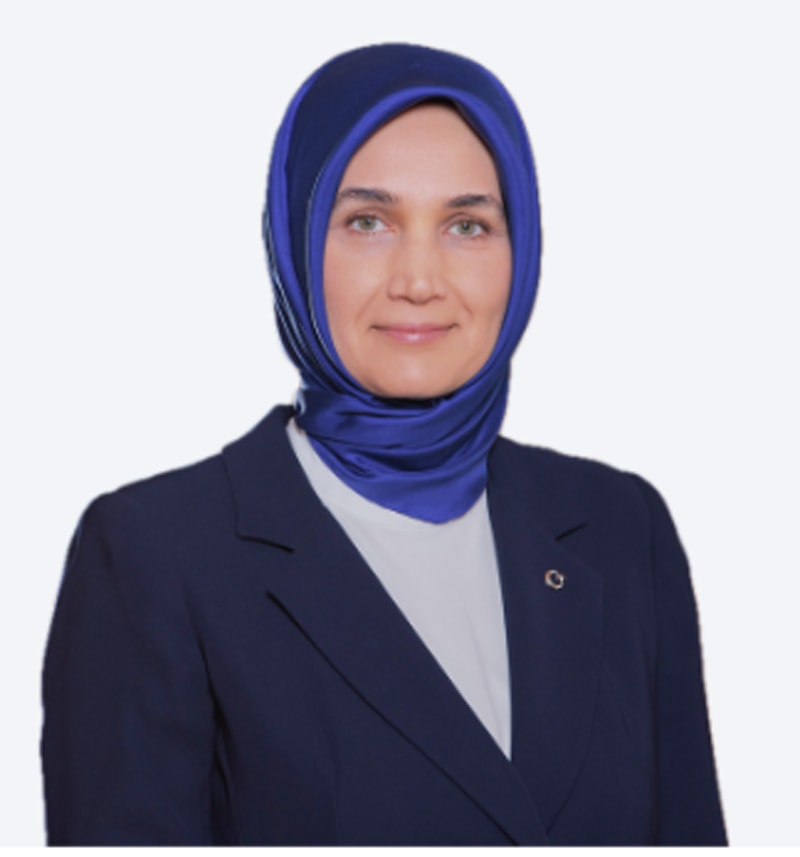 6jpg-rkuod8638uaq1oe-k-repa.jpg