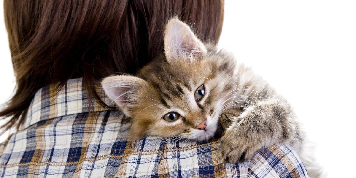 psikologlara-gore-kedi-besleyenlerin-ortak-ozellikleri-1.jpg