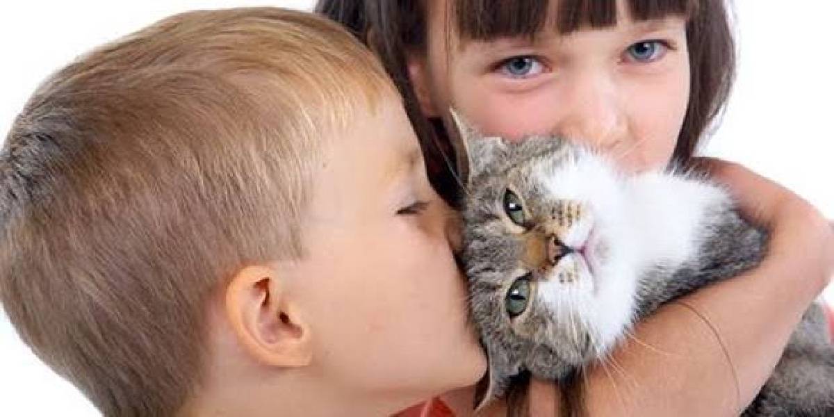 psikologlara-gore-kedi-besleyenlerin-ortak-ozellikleri-2.jpg