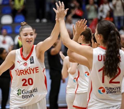 fiba3.jpg
