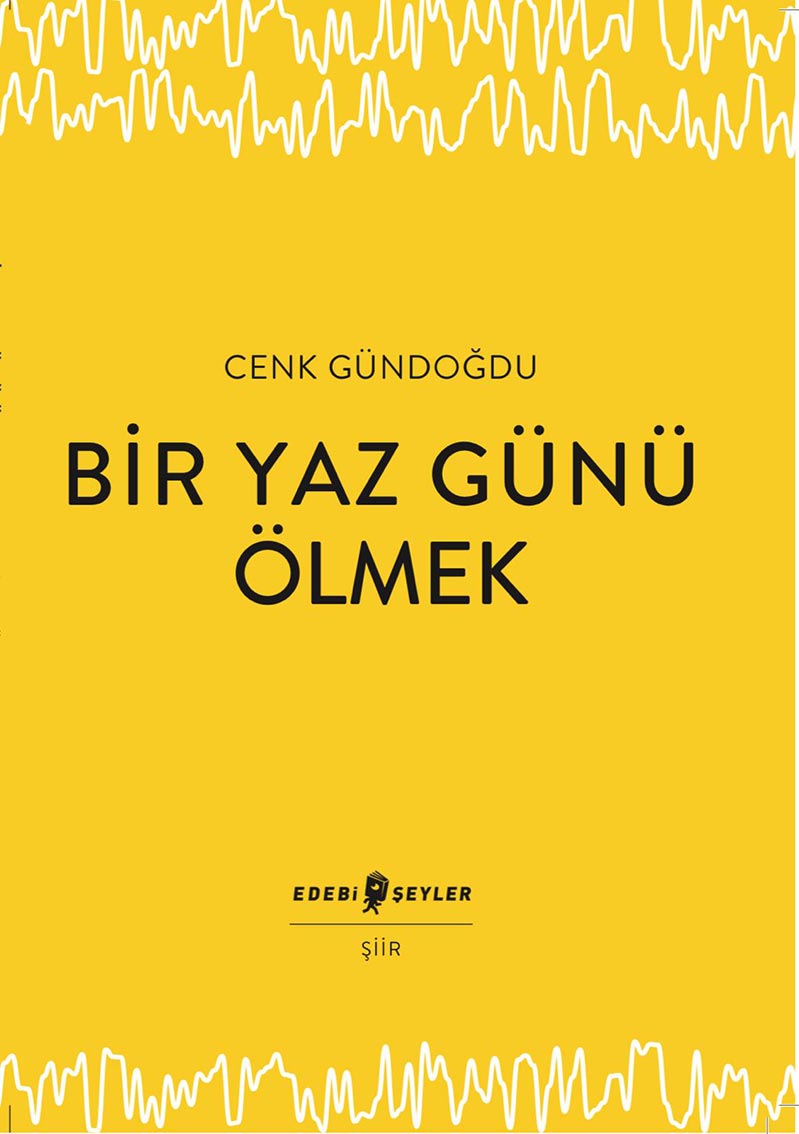 bir-yaz-gunu.jpg