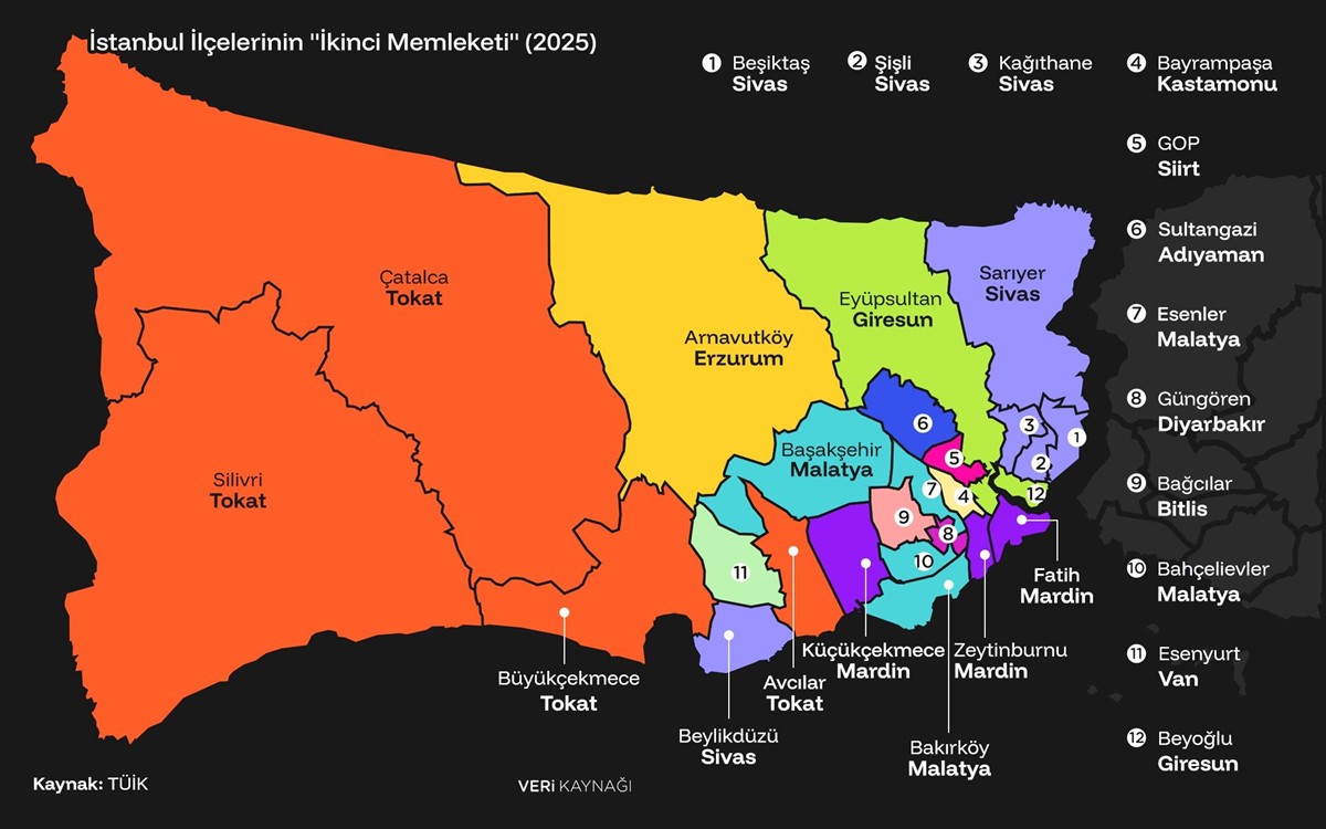 istanbulda-en-cok-nereli-yasiyor.jpg
