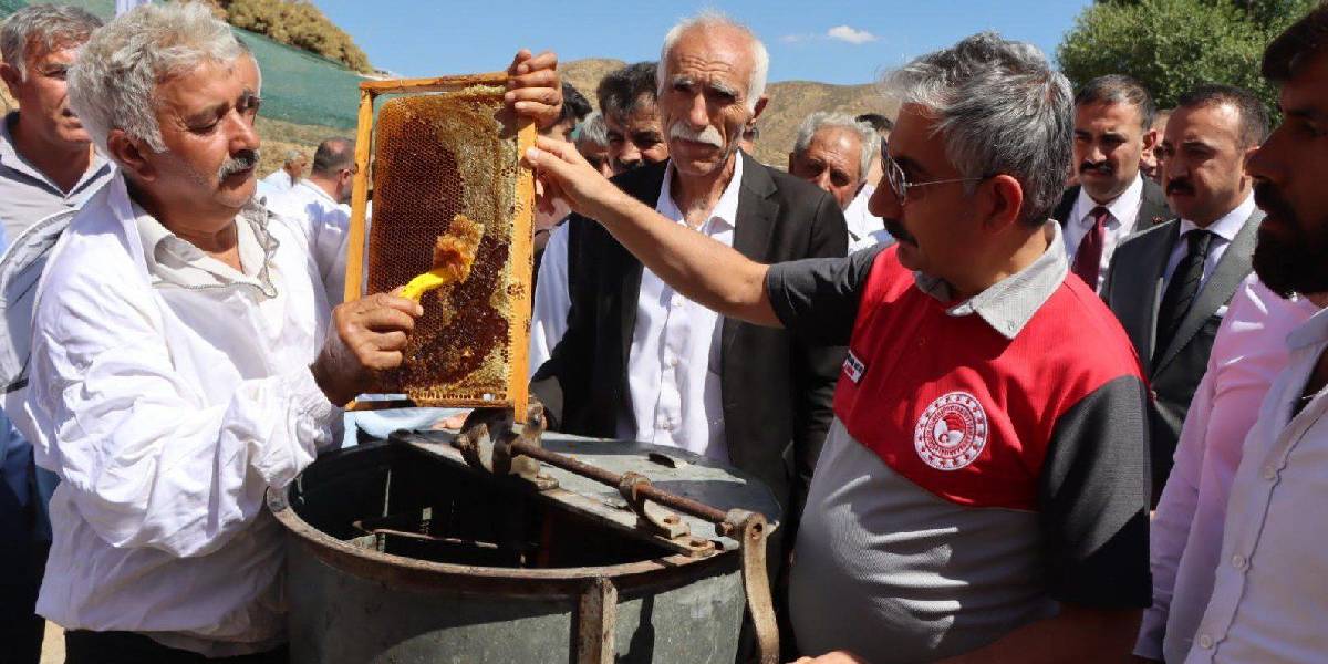 adiyamanda-bal-hasadi-sonrasi-senlik-1.jpg
